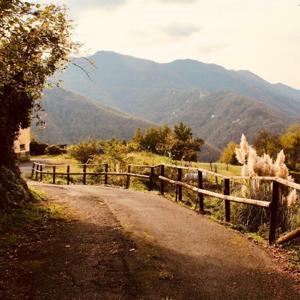 194726752.jpeg 194726752.jpeg