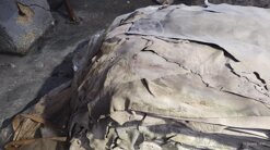 img_20231011_105730441.jpeg img_20231011_105730441.jpeg