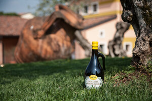 superiore_ita_detail.jpeg superiore_ita_detail.jpeg