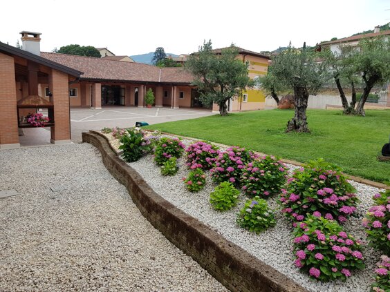 20190610_102351.jpeg 20190610_102351.jpeg