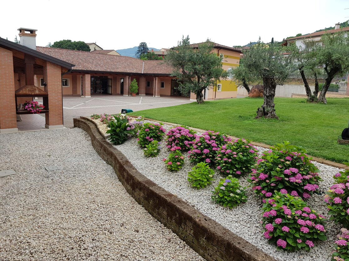 20190610_102351.jpeg 20190610_102351.jpeg