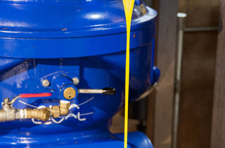 dsc_4314.jpeg dsc_4314.jpeg