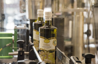 dsc_4317.jpeg dsc_4317.jpeg