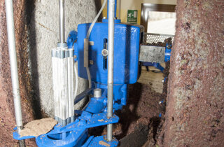 dsc_7998.jpeg dsc_7998.jpeg