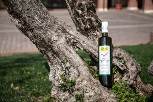 pescato_detail.jpeg pescato_detail.jpeg