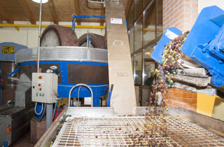 dsc_8034.jpeg dsc_8034.jpeg