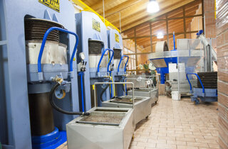 dsc_4322.jpeg dsc_4322.jpeg