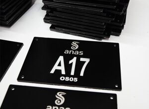 anas2.jpeg
