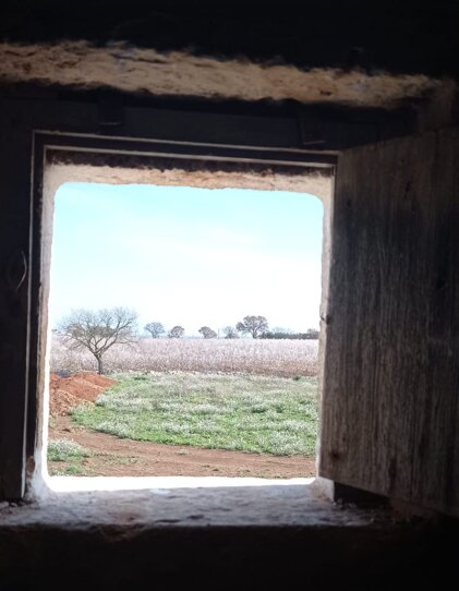 whatsapp image 2026-02-26 at 11.24.47.jpeg whatsapp image 2026-02-26 at 11.24.47.jpeg