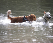 difficoltà coniugali