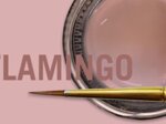 0881a-gingiva-flamingo-4gr