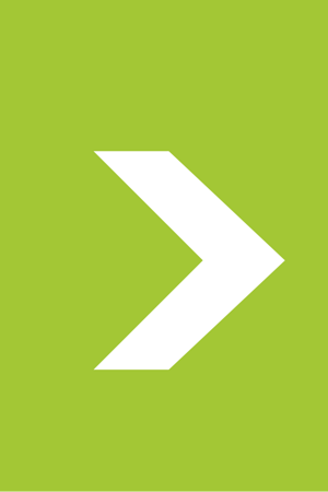 viola_salotto%20cinese