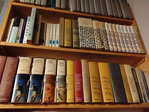 whatsapp image 2026-02-25 at 20.46.10(2).jpeg