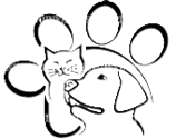 screenshot (213)