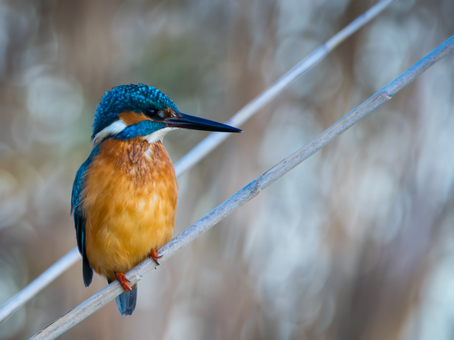 dsc_0624-migliorato-nr