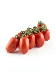 6510_pomodoro_piccadilly_varieta_pixel