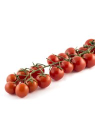 8284_pomodoro_ciliegino