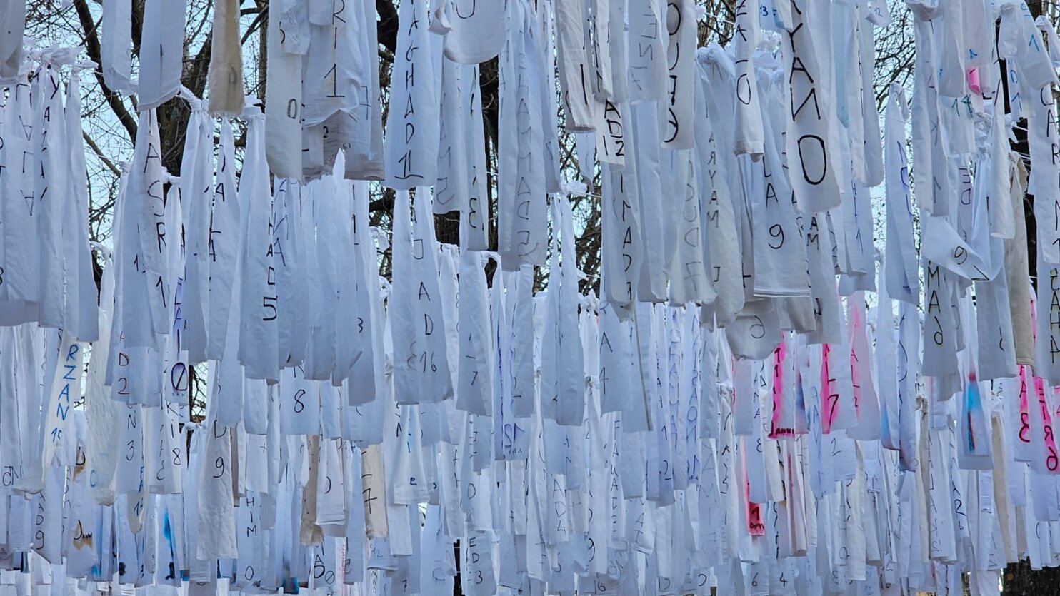 whatsapp image 2026-02-16 at 12.46.34 (1).jpeg