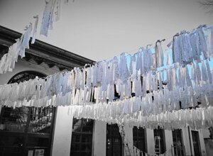 whatsapp image 2026-02-16 at 12.46.34 (2).jpeg