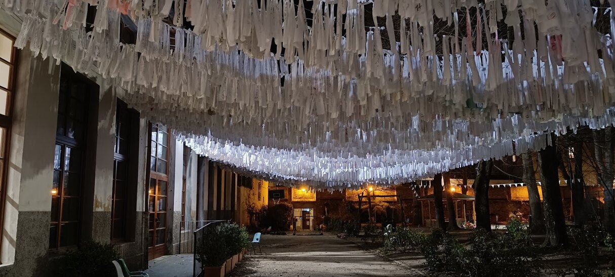 img20260220191940.jpeg img20260220191940.jpeg