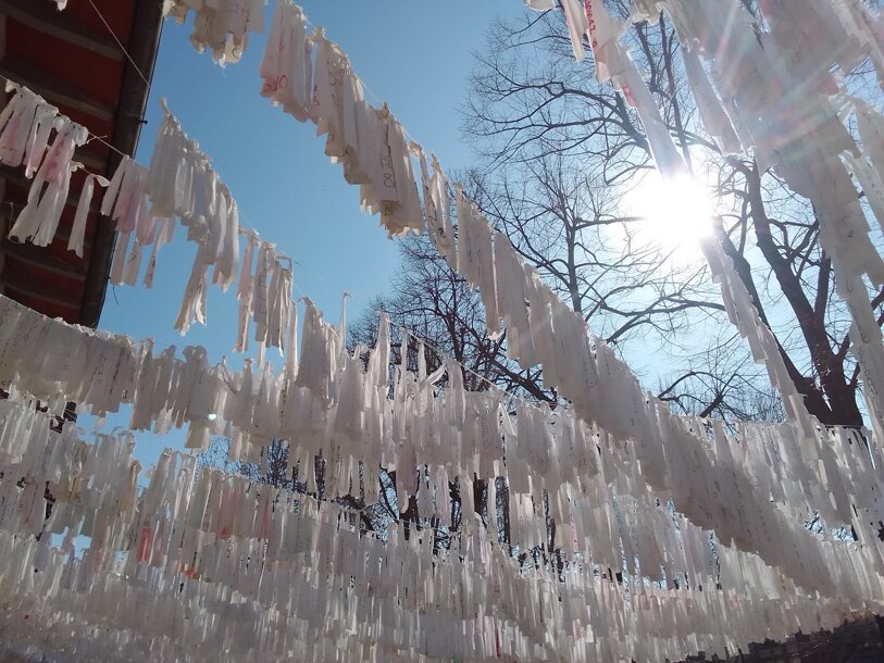 img_20260226_120236.jpeg img_20260226_120236.jpeg