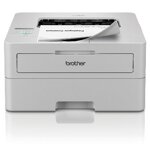 brother-hl-l2865dw