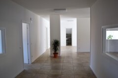 dsc_8558 originale.jpeg