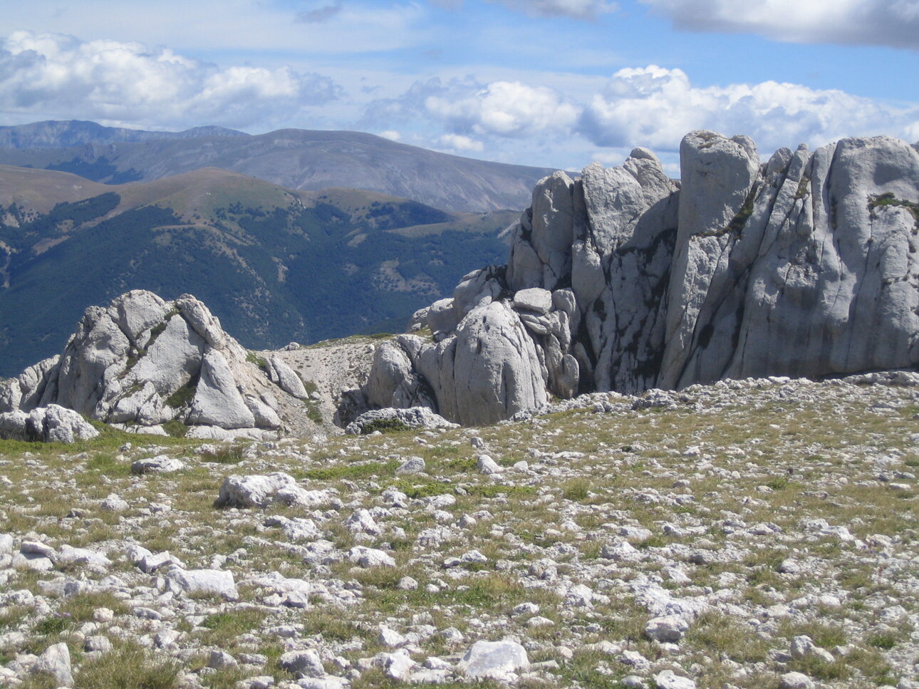 16ago05 terratte 031.jpeg