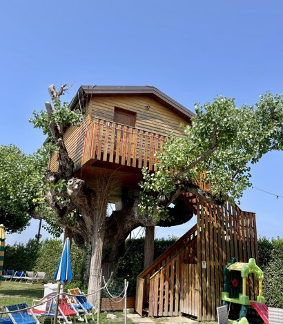 39291_6ffe9af98a07cceeba0d6fc616c513221d87e9d2