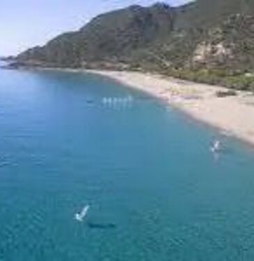 whatsapp%20image%202026-03-02%20at%2016.20.03.jpeg whatsapp%20image%202026-03-02%20at%2016.20.03.jpeg