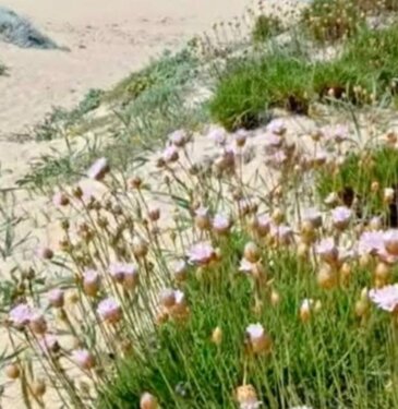 whatsapp%20image%202026-03-08%20at%2019.03.25%20(4).jpeg