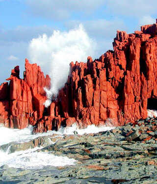 39293_35deb6cd1ca8f8bdaf13cb7e1f7dca3f754dc0d2