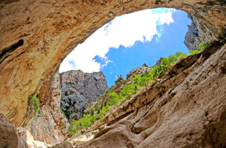 canyon-sardo.jpeg