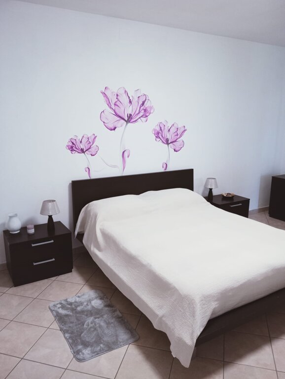 whatsapp image 2026-03-03 at 23.55.31.jpeg