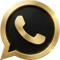 Icona WhatsApp dorata: contatta Luca Fortini per informazioni sul gioco Apixagon.