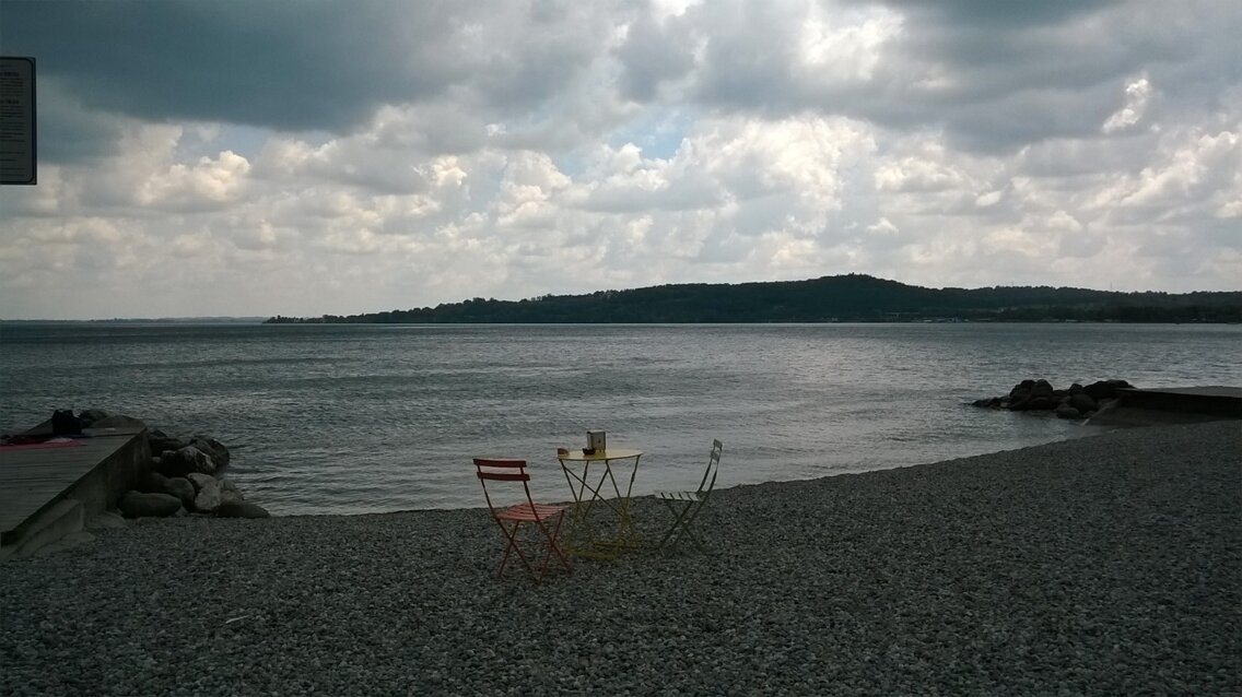 whatsapp image 2026-03-07 at 16.50.36.jpeg