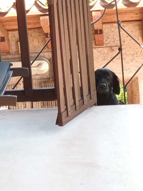 whatsapp image 2026-03-07 at 16.50.21 (9).jpeg