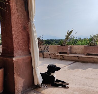 39319_4e00eee9799fd271073f2190a102857b994e69d8 39319_4e00eee9799fd271073f2190a102857b994e69d8