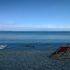 wp_20160329_13_25_14_pro wp_20160329_13_25_14_pro
