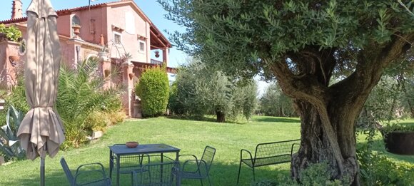 whatsapp image 2026-03-07 at 16.50.21 (3).jpeg