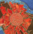 1000221826.jpeg 1000221826.jpeg