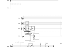 copia%20di%20med0%202