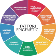 image-12-1536x1536-removebg-preview