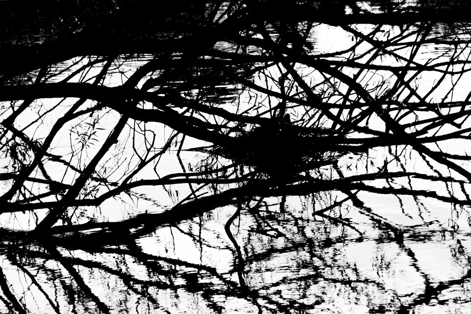 alessandro marsura2.jpeg alessandro marsura2.jpeg