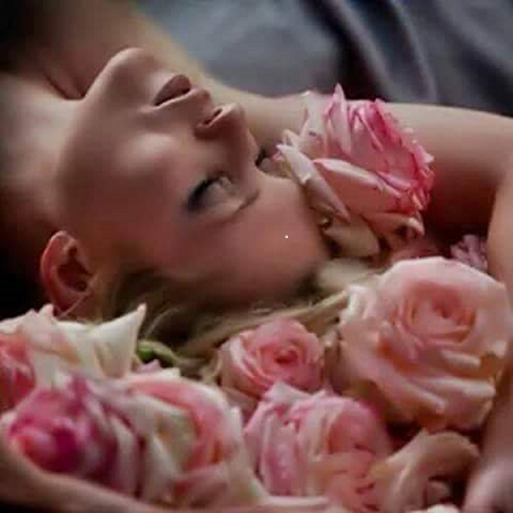 fb_img_1535049966498 fb_img_1535049966498