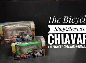 the bicycle the bicycle