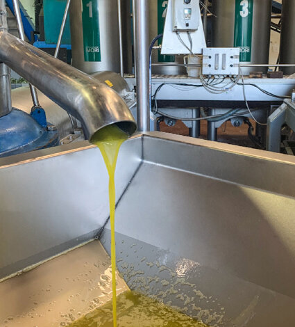 olio extravergine di olvia olio extravergine di olvia