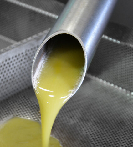 frantumazione olio frantumazione olio