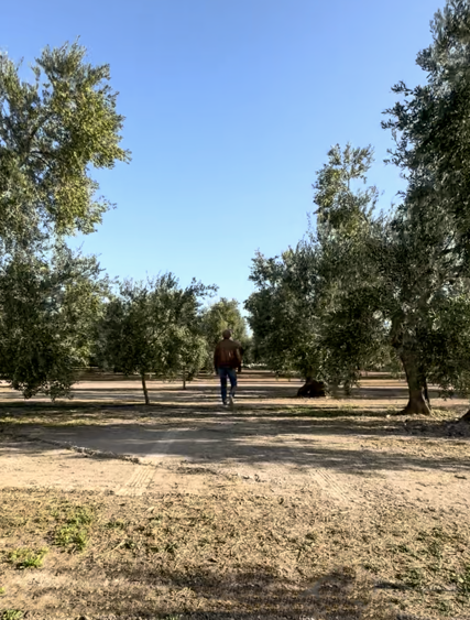 Made in puglia Made in puglia