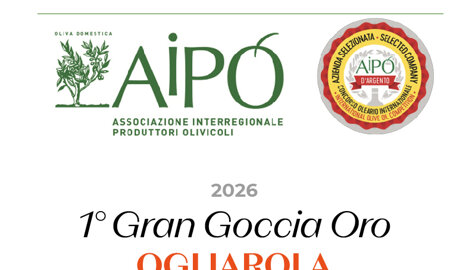 Aipo Aipo